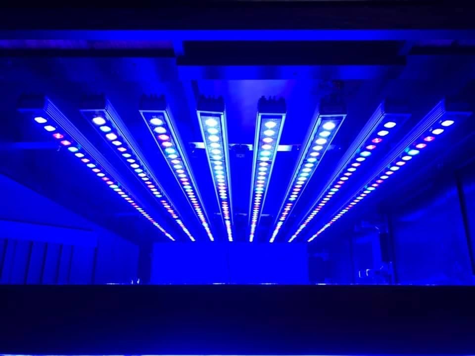 8 Or3 led bar récif aquarium