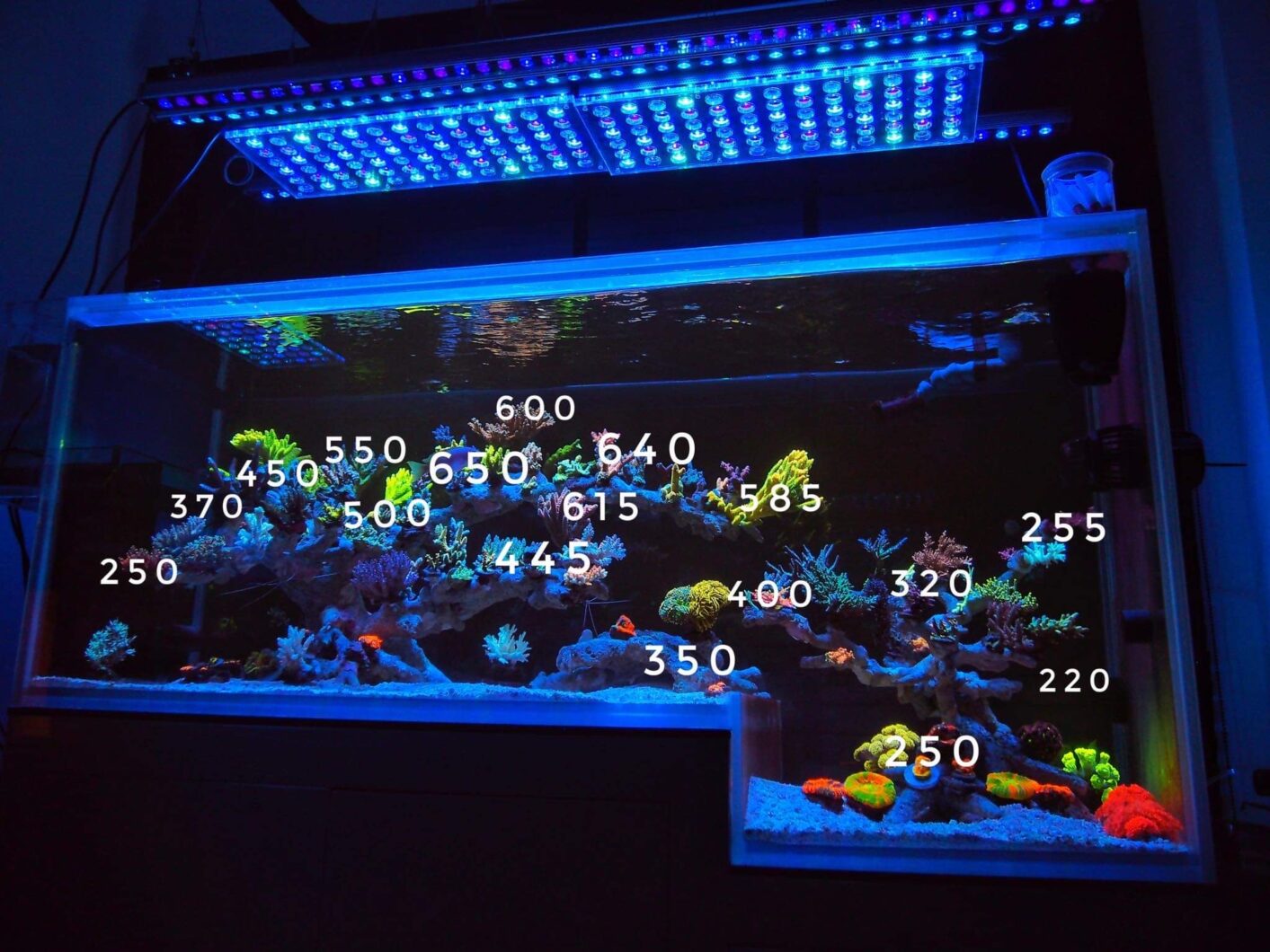 Ikon Atlantik or3 150 led bar reef aquarium