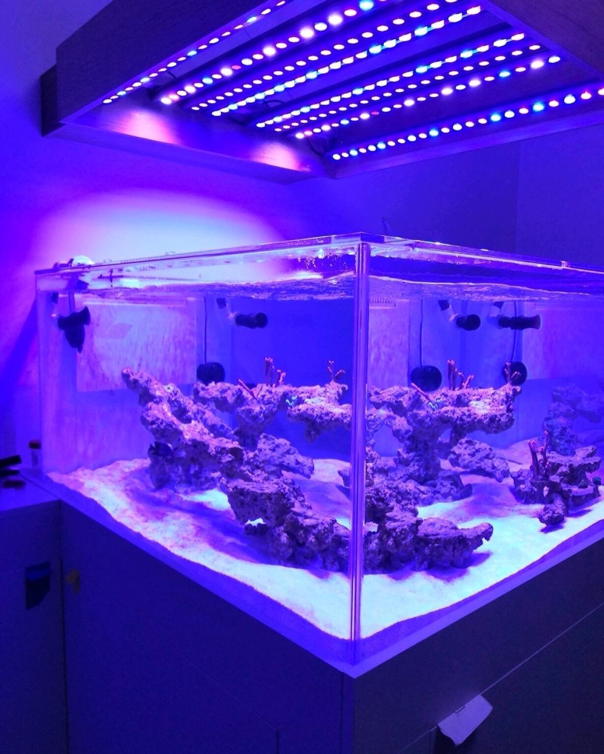 OR3 LED Bar Reef Aquarium Photo Gallery • Orphek Reef Aquarium LED Lighting