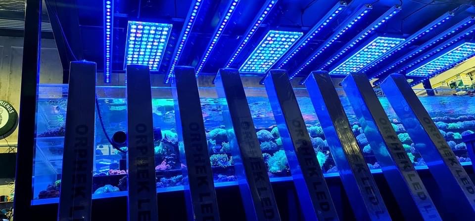 OR3-коралловая ферма-светодиодное-освещение-