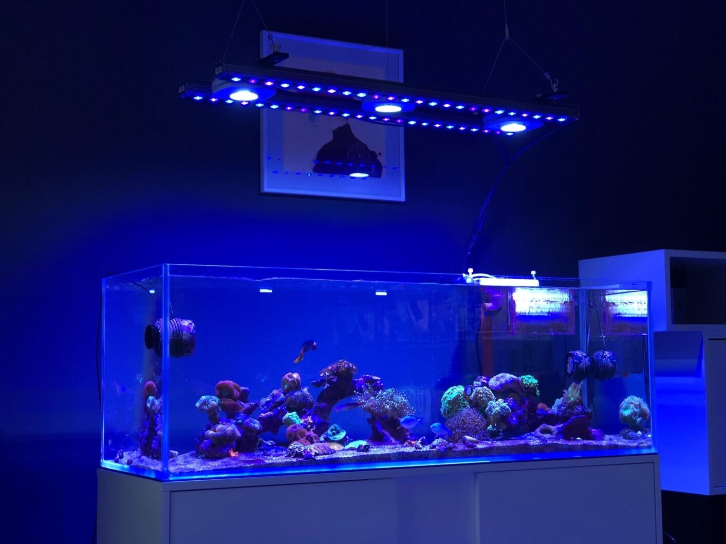 aqua chiếu sáng chính OR3 thanh LED orphek