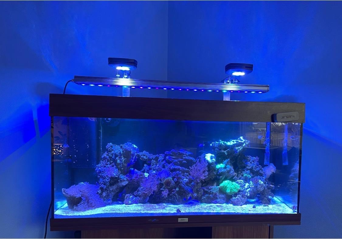 Aqua Lighting Prime y barra LED Orphek OR3