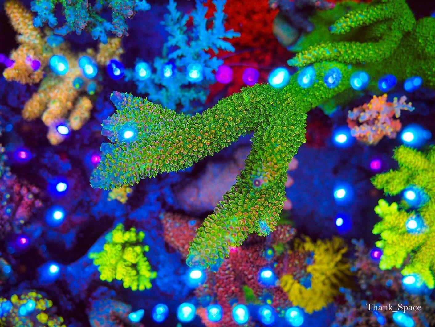 paras-riutta-akvaario-pop-väri-OR3-LED-palkki-