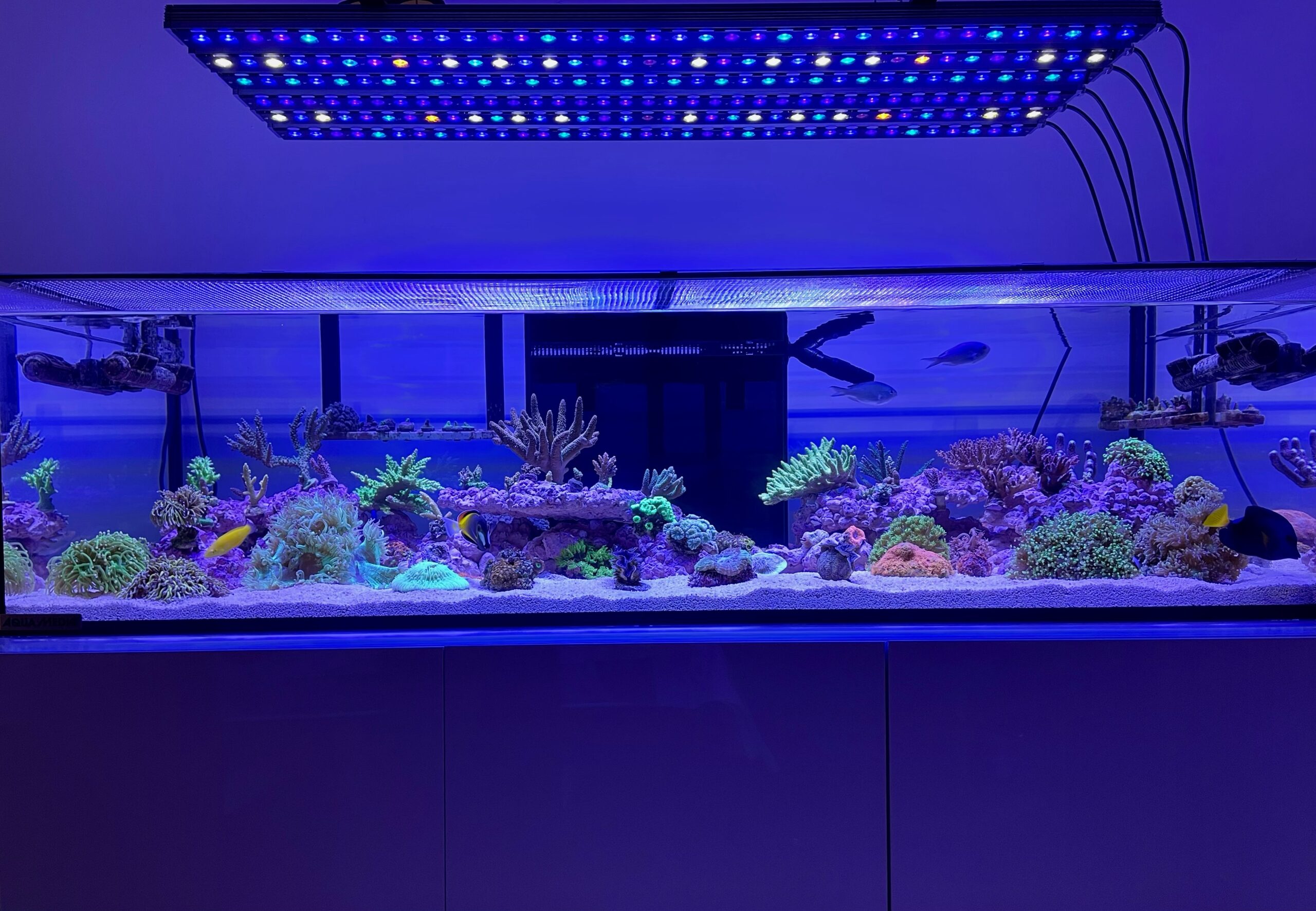osix-tai 3-riutta-akvaario-LED-valaistus-1