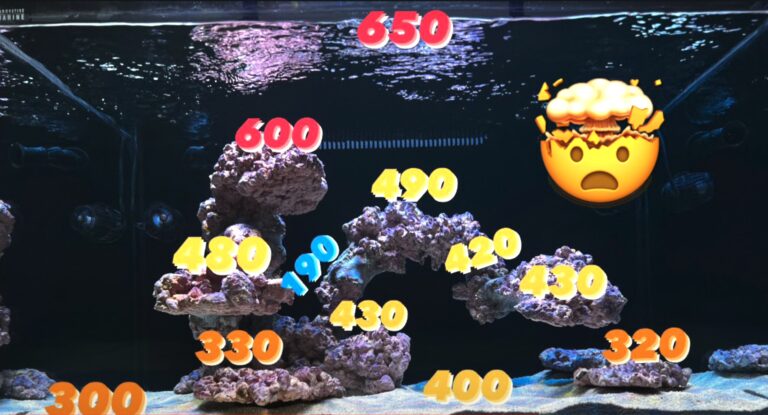 Osix OR3 reef LED bar combo review, video pengukuran dan pemasangan PAR