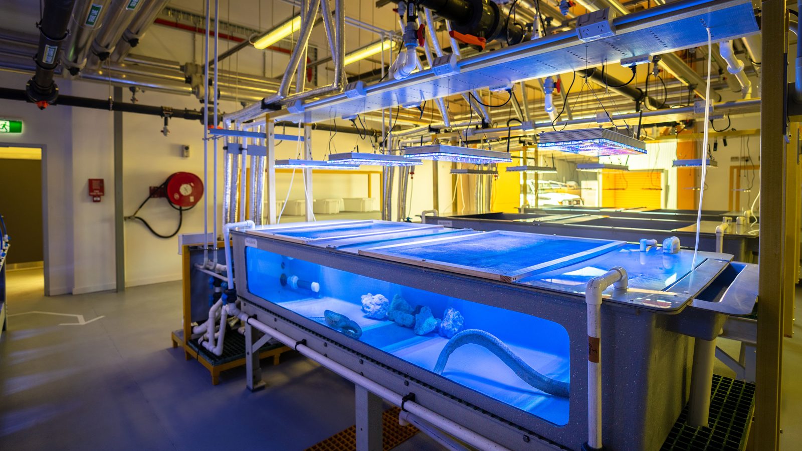 Orphek-Atlantik-图标-珊瑚礁-LED-灯-实验室-水族馆-图像