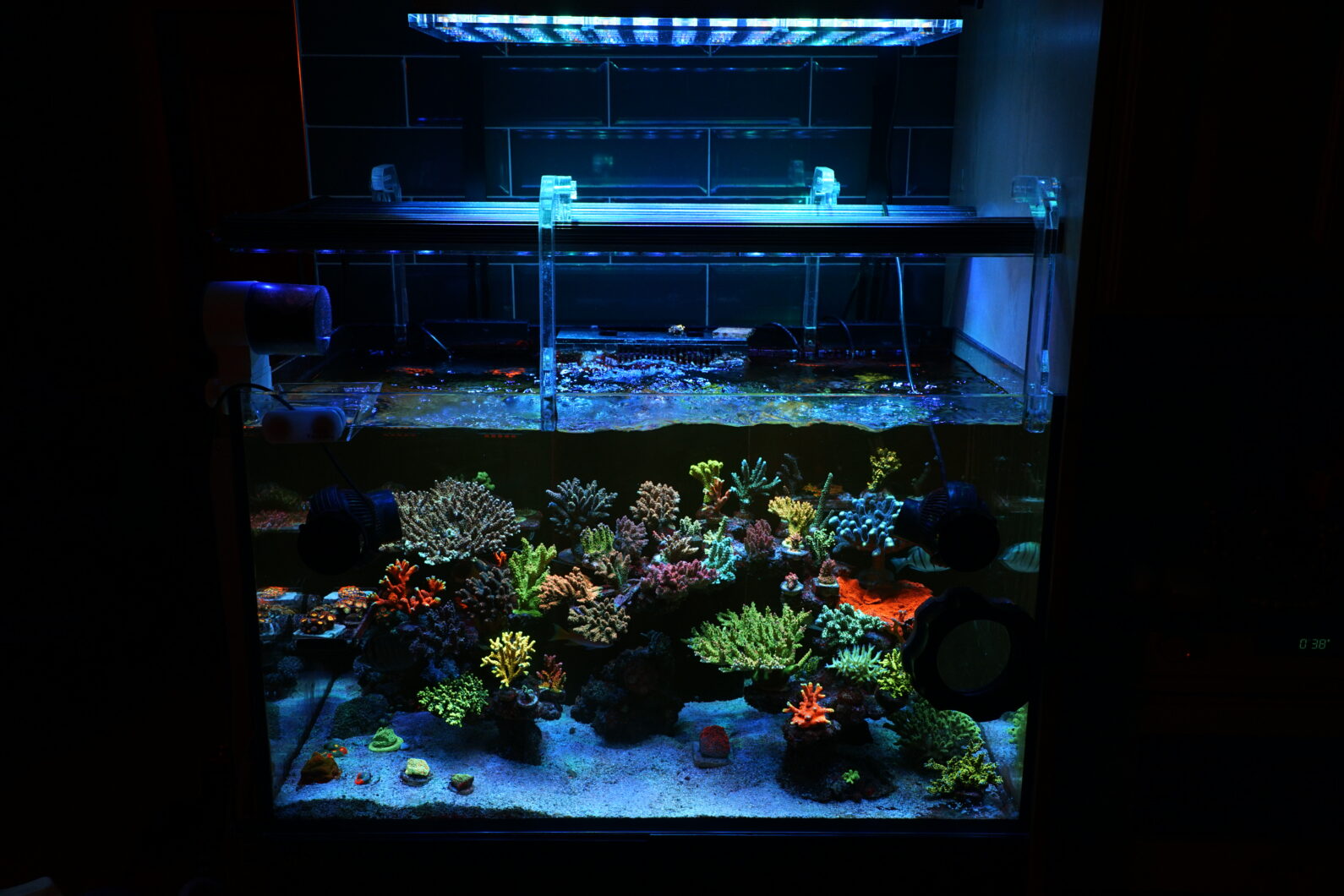 Orphek Atlantik best for coral fluorescente3