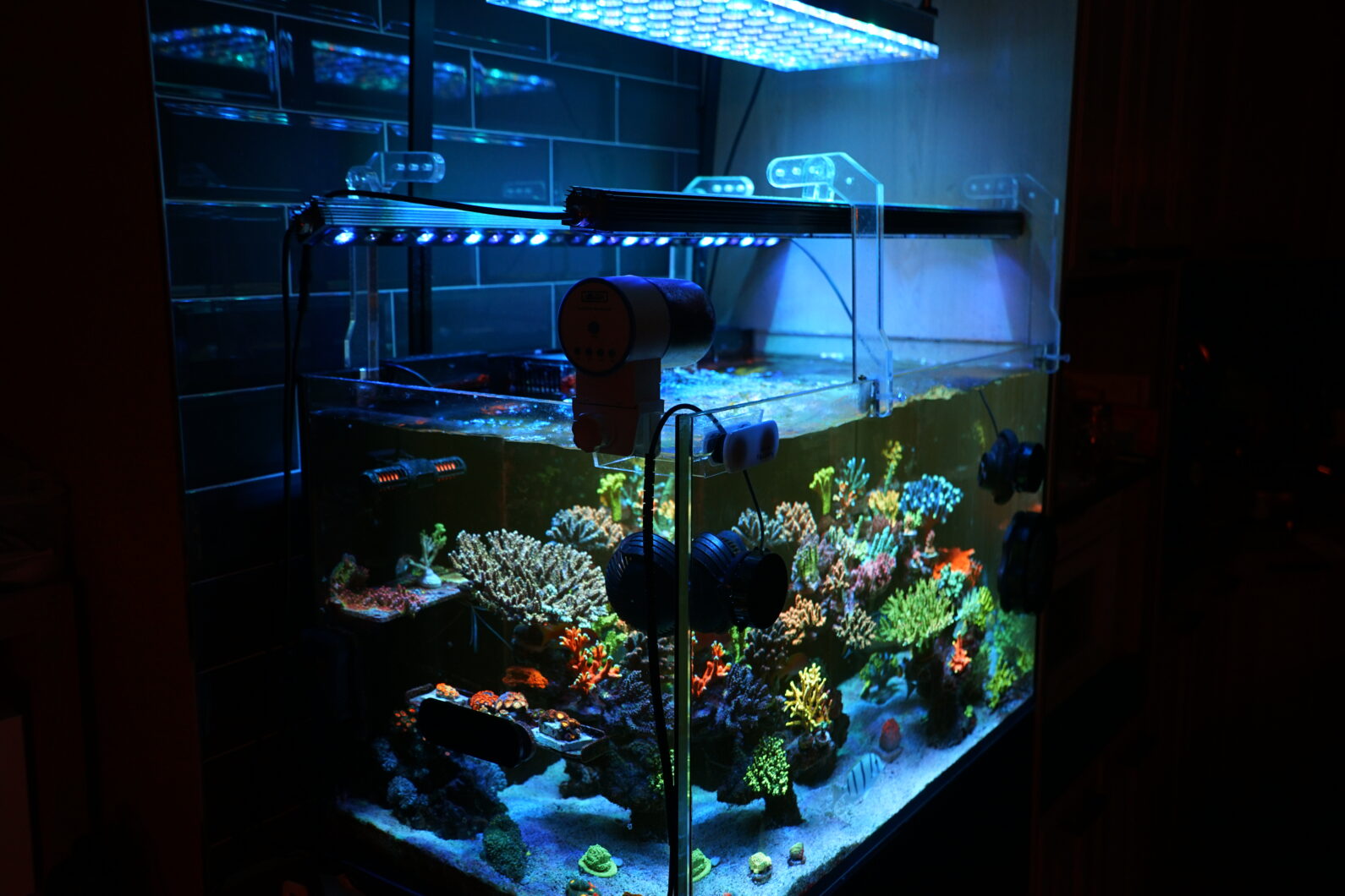 atlantik icon 和 OR3 blue plus best reef led light for coral fluorescente1