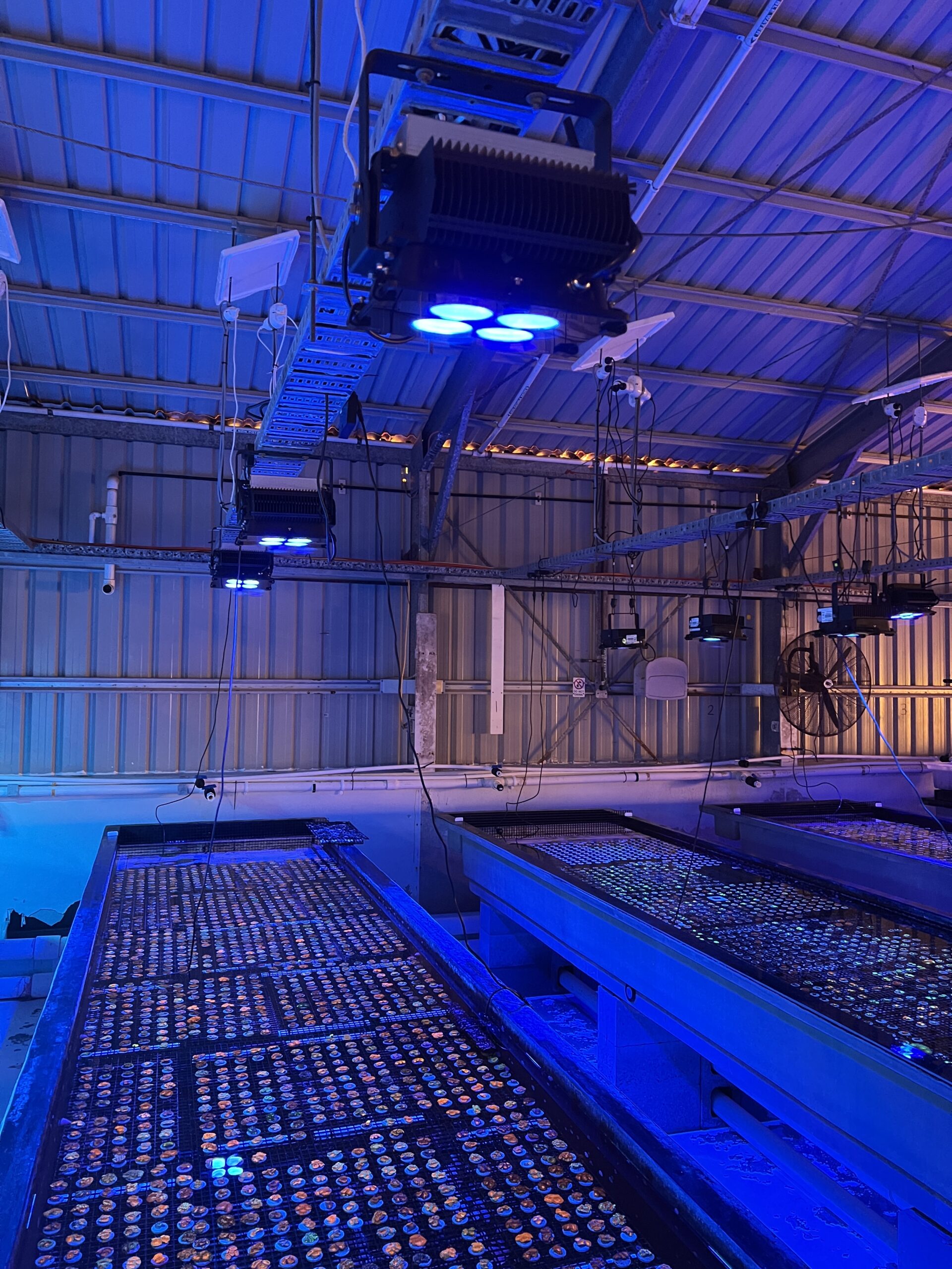 ferme de corail lumière led icône orphek amazonas 960