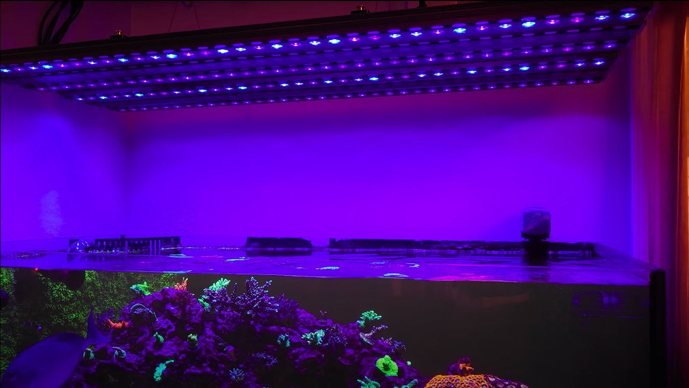 osix-or3-reef-led-Bars-combo-4k-video-review-best-reef-led-system-of-the-year