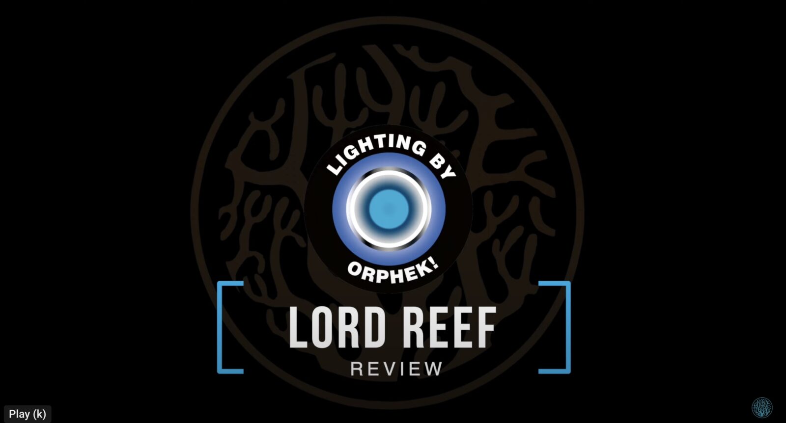 Orphek review