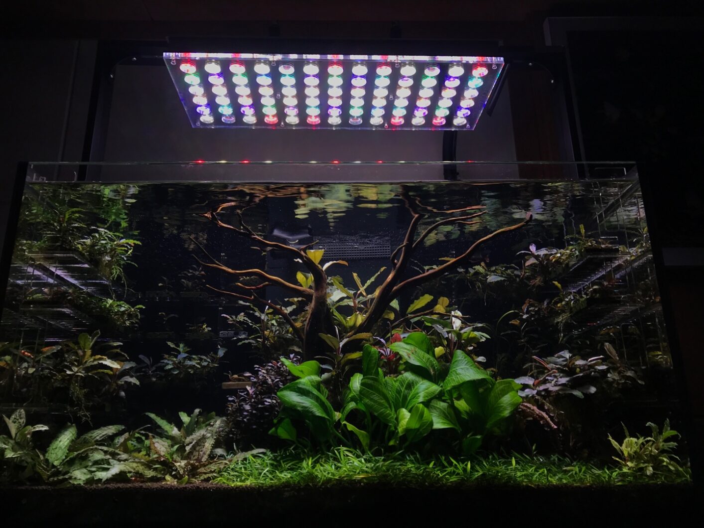 sötvatten_planterat_akvarium_under_Atlantik_iCon