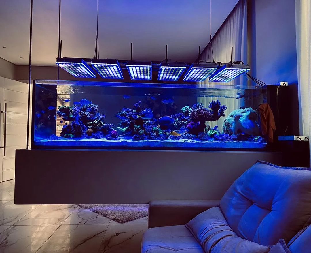 Atlantik iCon - Éclairage LED pour aquarium récifal - Orphek