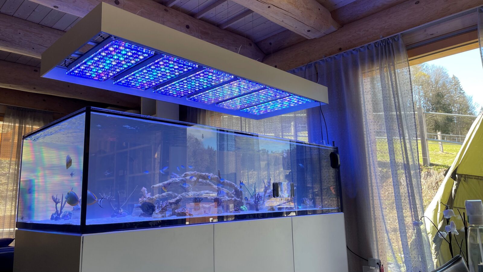 Reef_aquarium_canopy_suspened_LED_lights_orphek