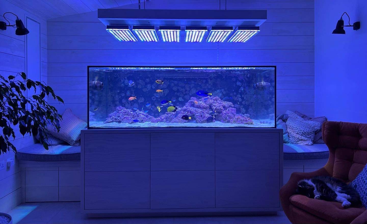 Reef_akwarium_suspended_system_for_Atlantik_iCon_LED_Lighting_placement