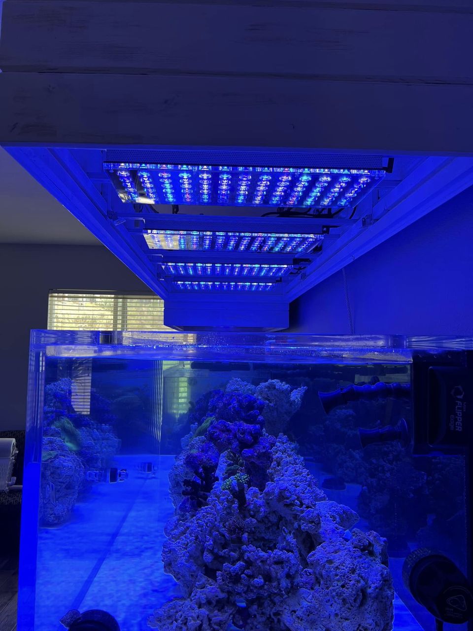 atlantik_iCon_LED_Lighting_over_shallow_reef_tenk