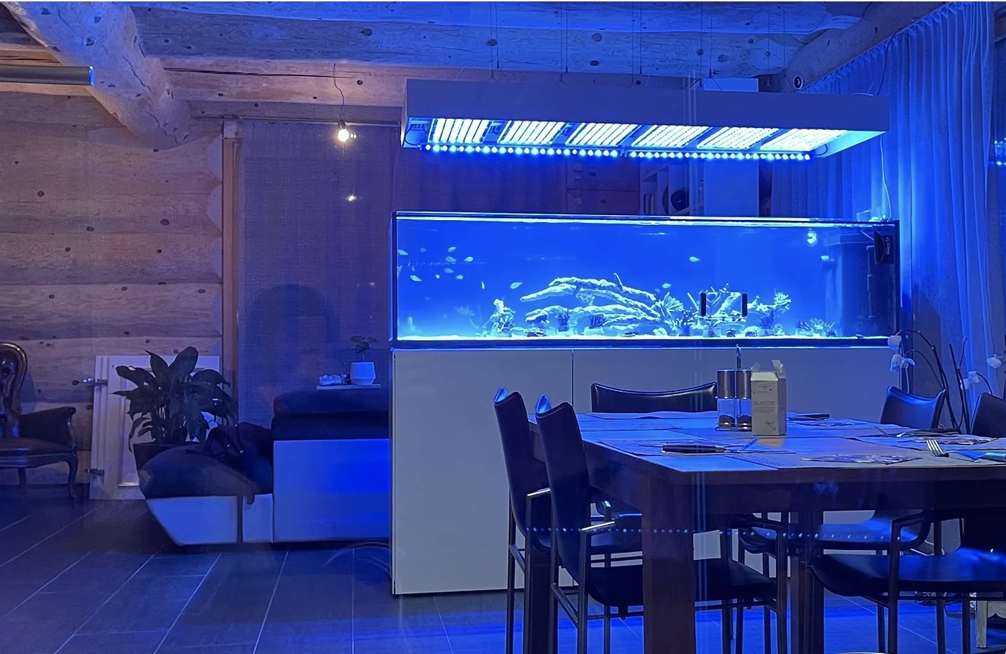 Custom, LED and Acrylic 10 gallon aquarium hood Aquariums 