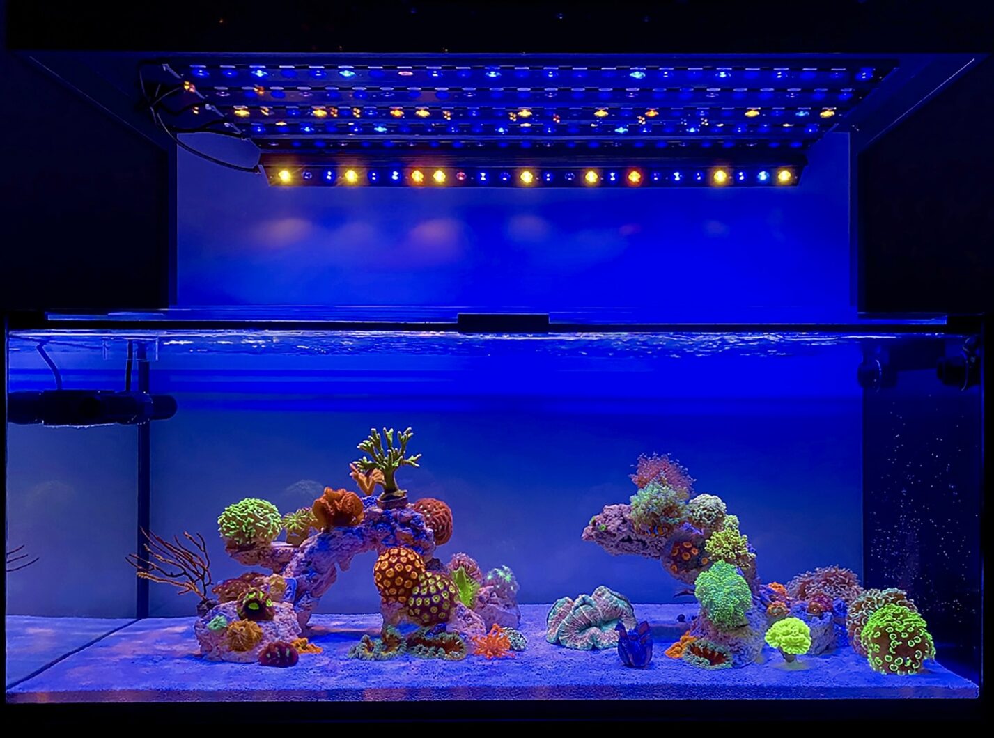 Osix-OR3-最佳珊瑚礁水族馆 LED 酒吧照明系统