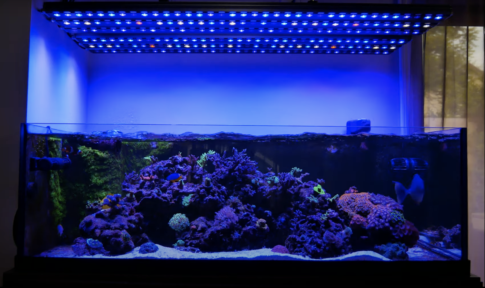 OR3_150_LED_Bars_over_reef_tank_with_Osix_controller.