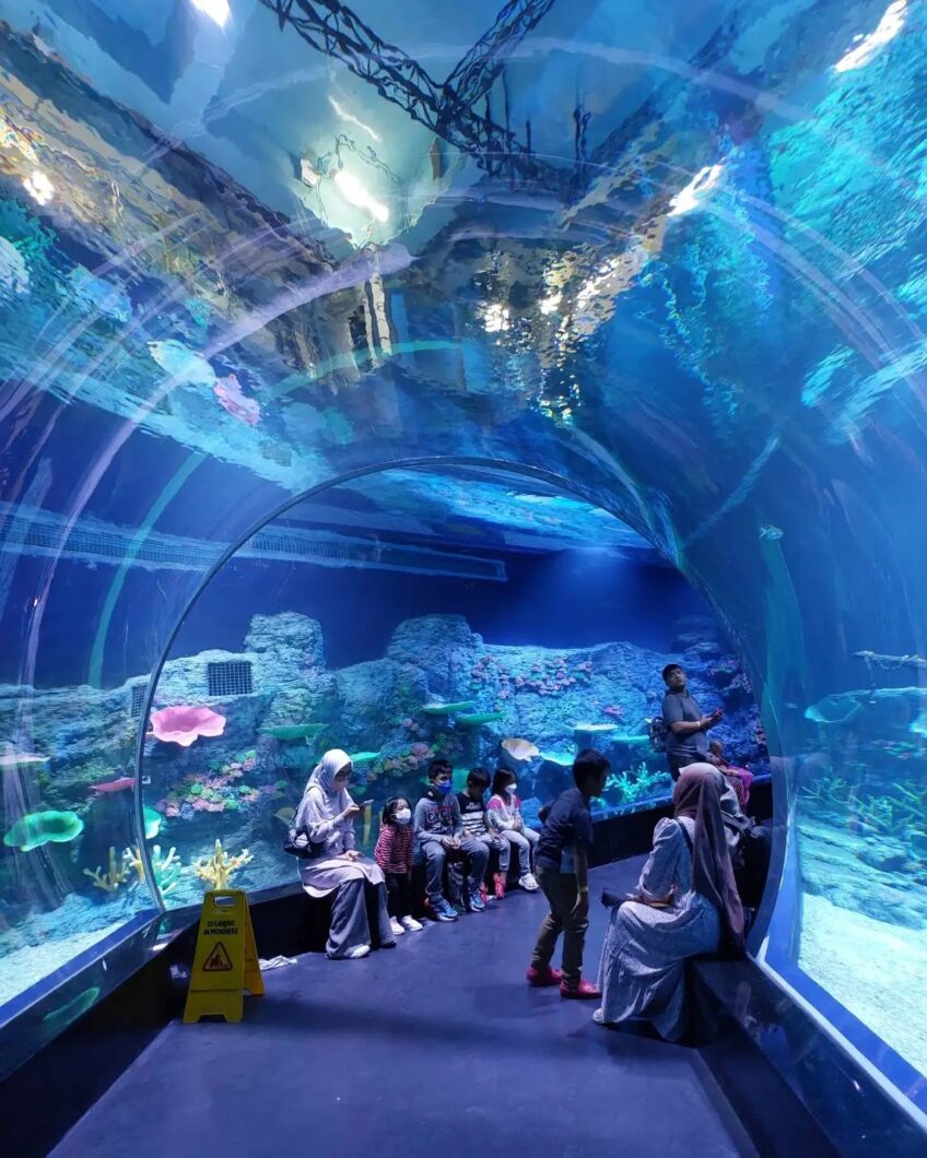Orphek_amazonas_series_public_aquarium_tunnel