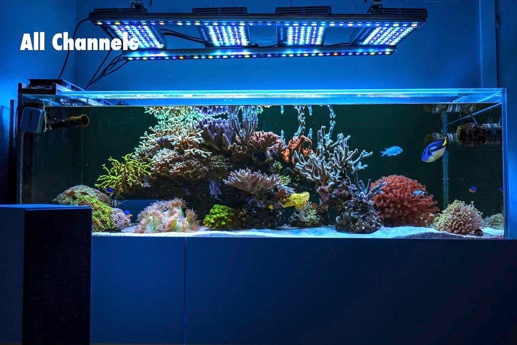 Best-reef-aquarium-full-spectrum-led-light-2024-natura-icon-
