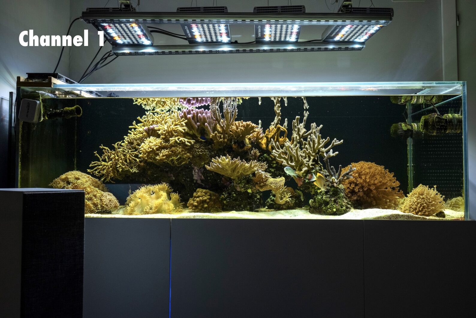 Best-reef-aquarium-white-led-light-natura-icon-
