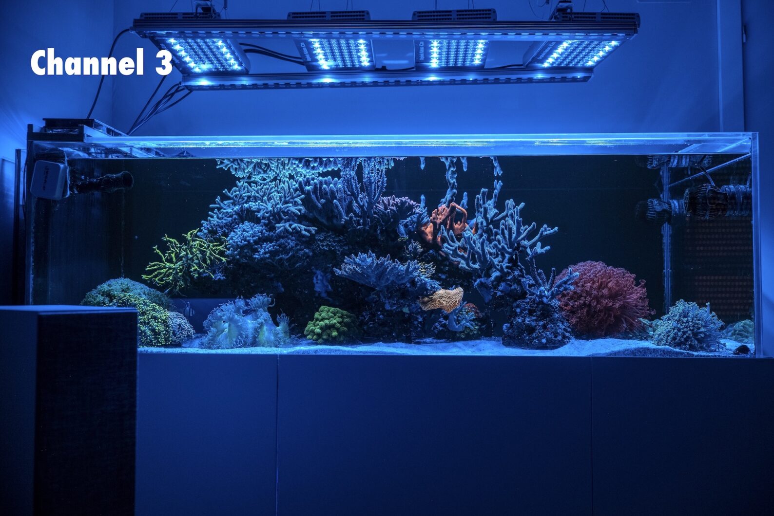 best-reef-aquarium-ice-blue-led-light-icon-natura