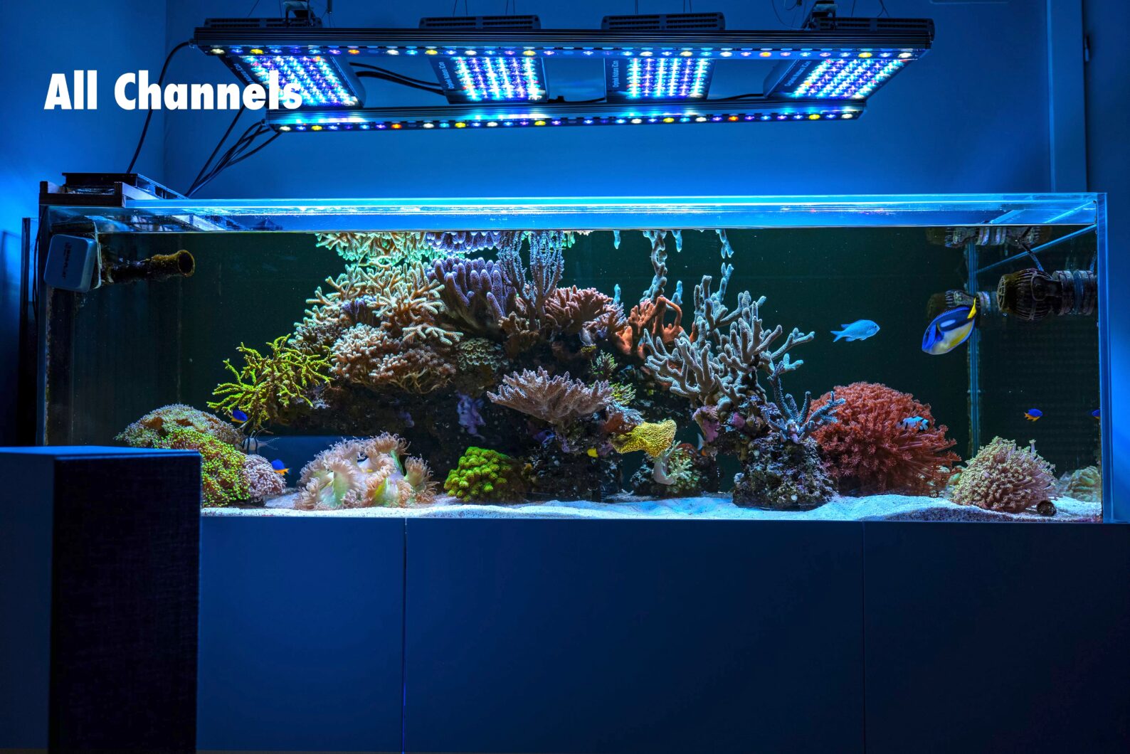 orphek-natura-icon-best-reef-aquarium-led-light-2024