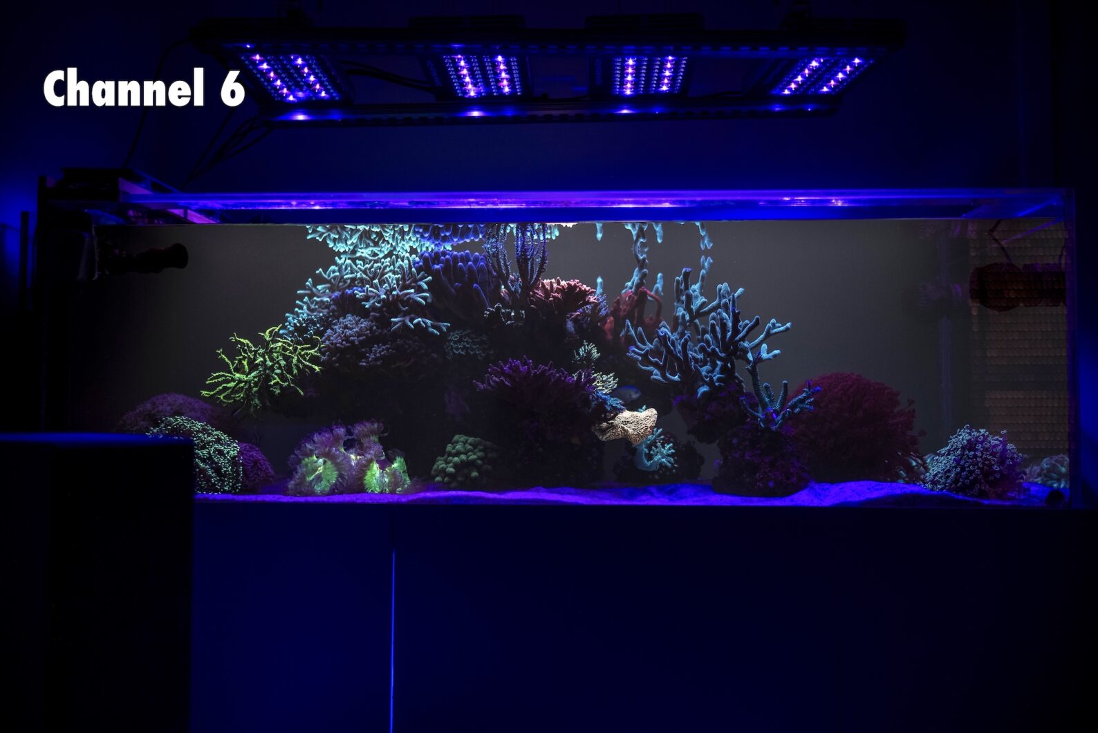 reef-aquarium-uv-spectrum-led-light-2024-natura-icon-