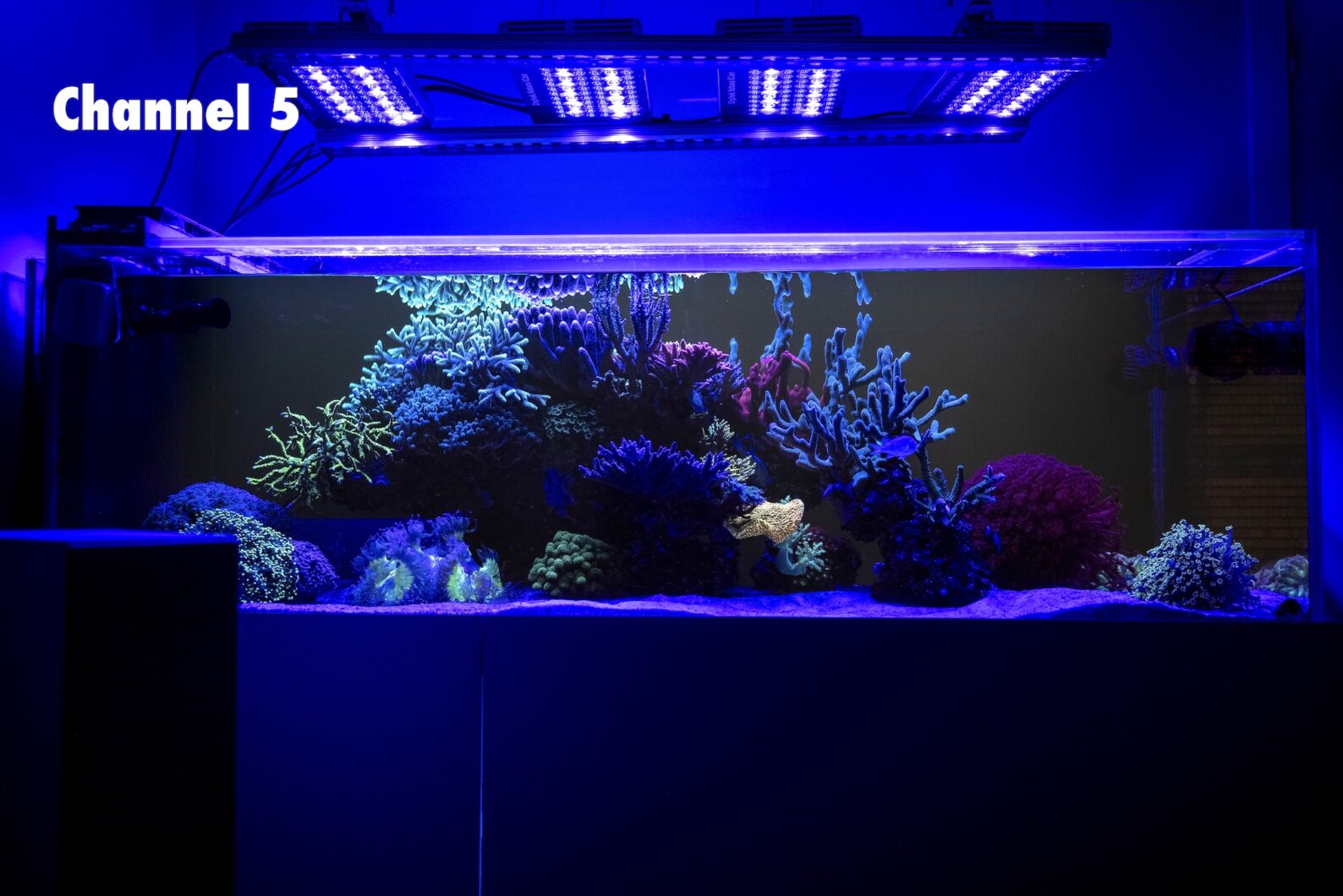 21 LED 8 X ReefBar COMBO – 48 Inch 280W LED Aquarium Light For Coral Growth (4ft, 140 Gallon)