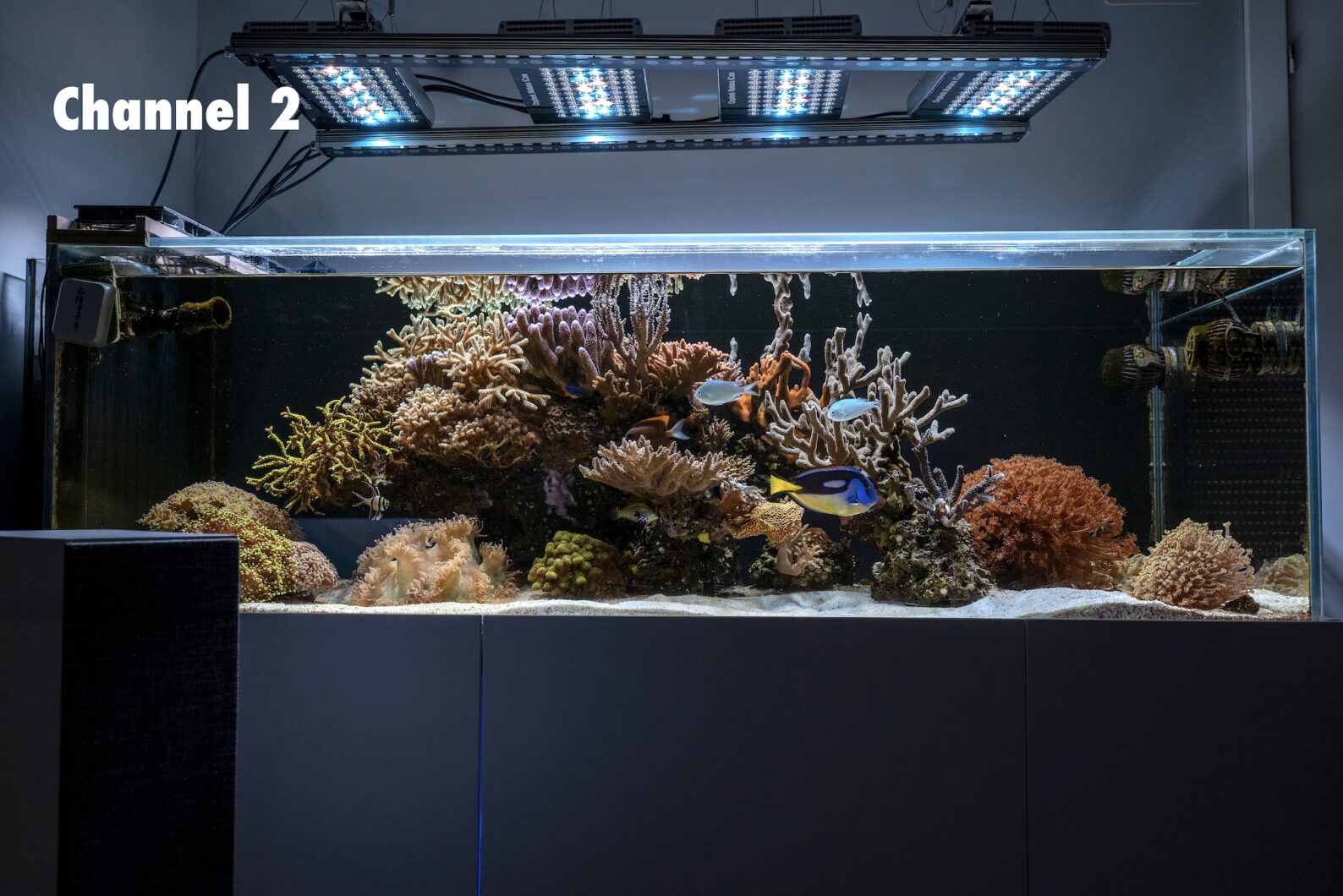 reef-aquarium-white-spectrum-led-light-2024-natura-icon-