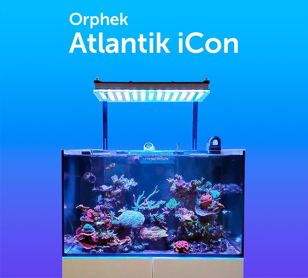 Atlantik_iCon_with_fixing_Brackets