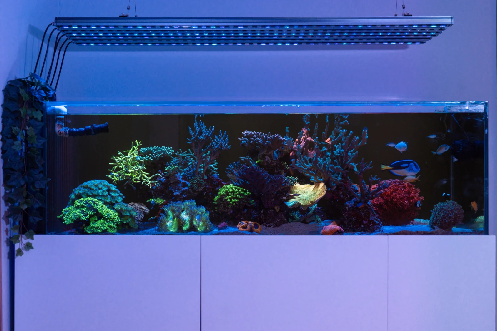 orphek-aquarium-led-lighting-or4-icon-led-bars