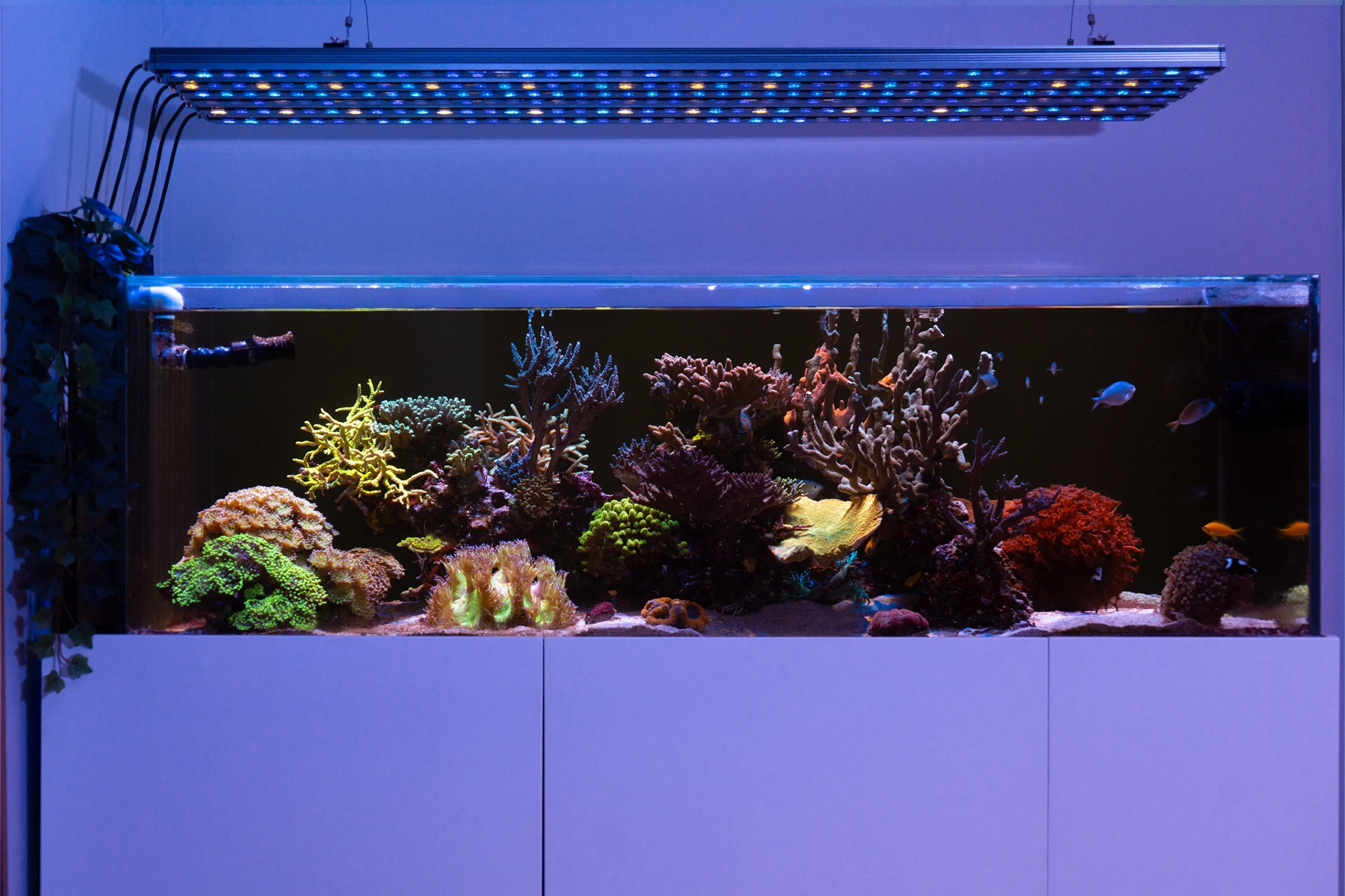 orphek-aquarium-led-lighting-or4-icon