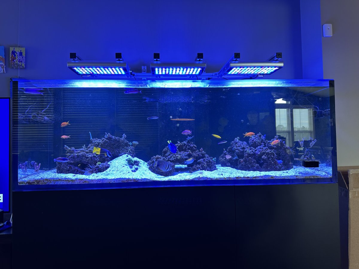 Natura-iCon_reef_tank_LED_lighting