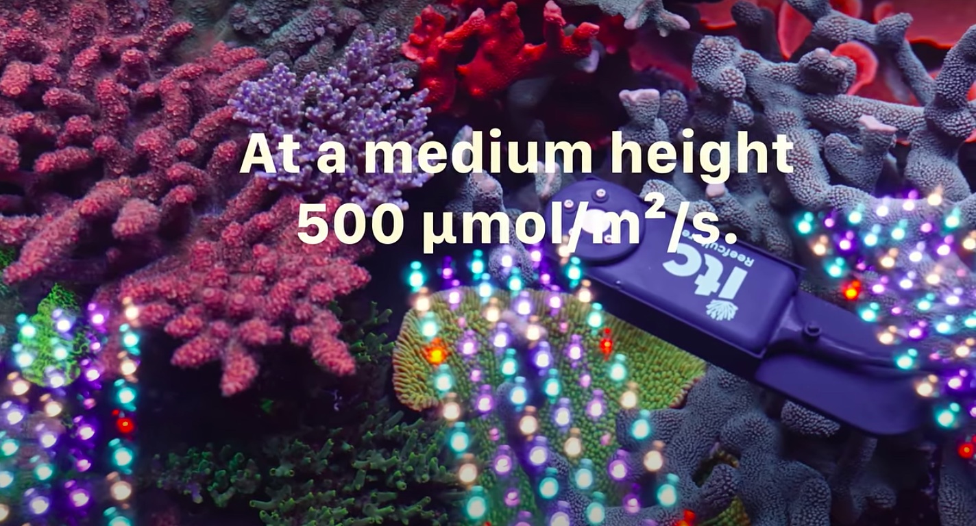 orphek_Natura_iCon_highest_PAR_500