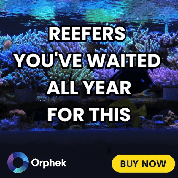 1111_deals_orphek