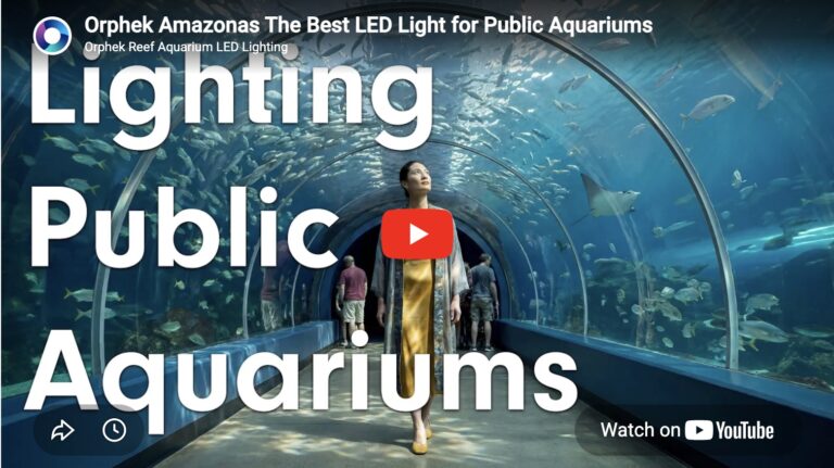 Amazonas_500_public_aquarium_video