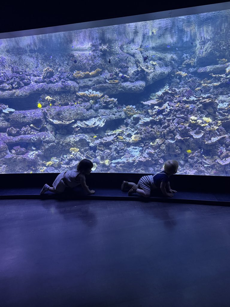 Aquarium-De-Paris_Orphek_reef_LED-Lighting_Systems