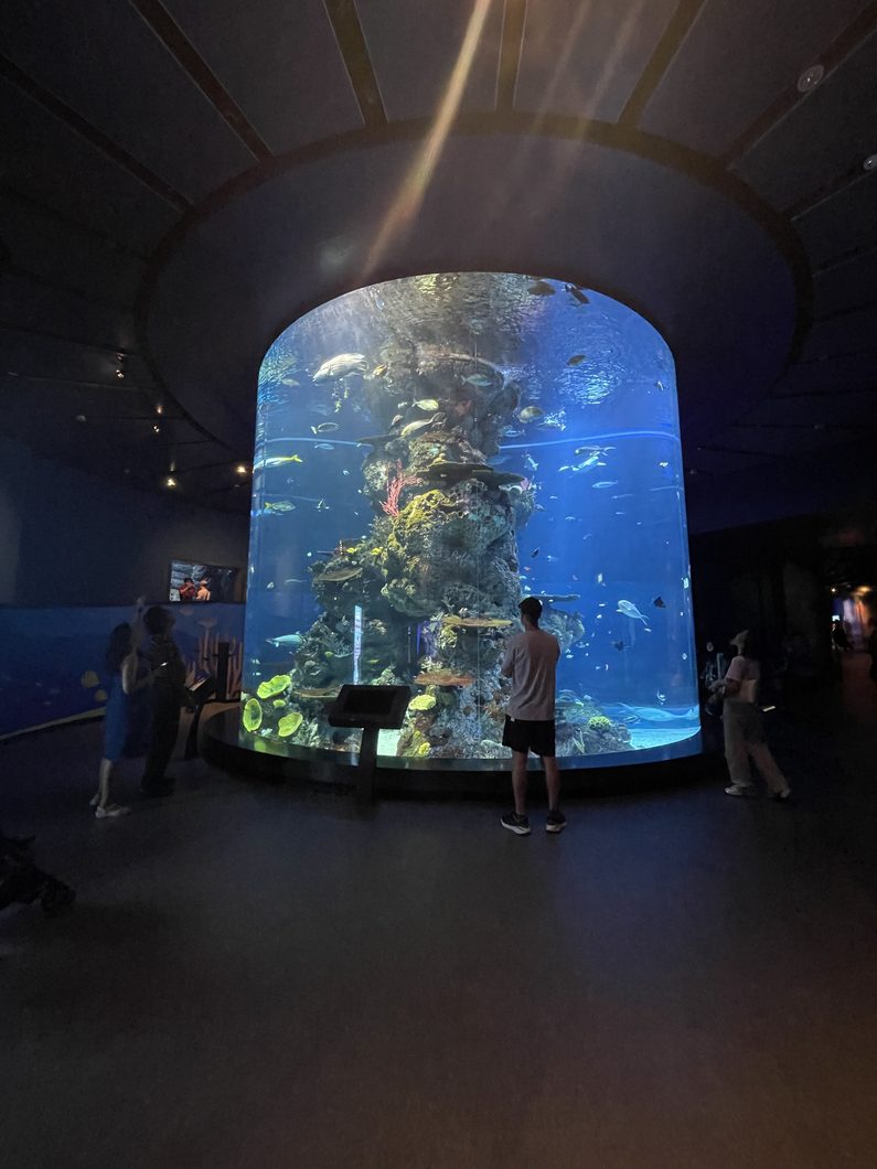 Oceanarium_singapura-Sentosa_Orphek
