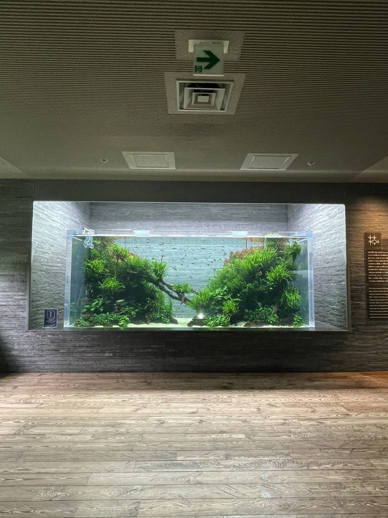Takashi_Amano_Tokyo_tower_aquarium_Sumida_orphek