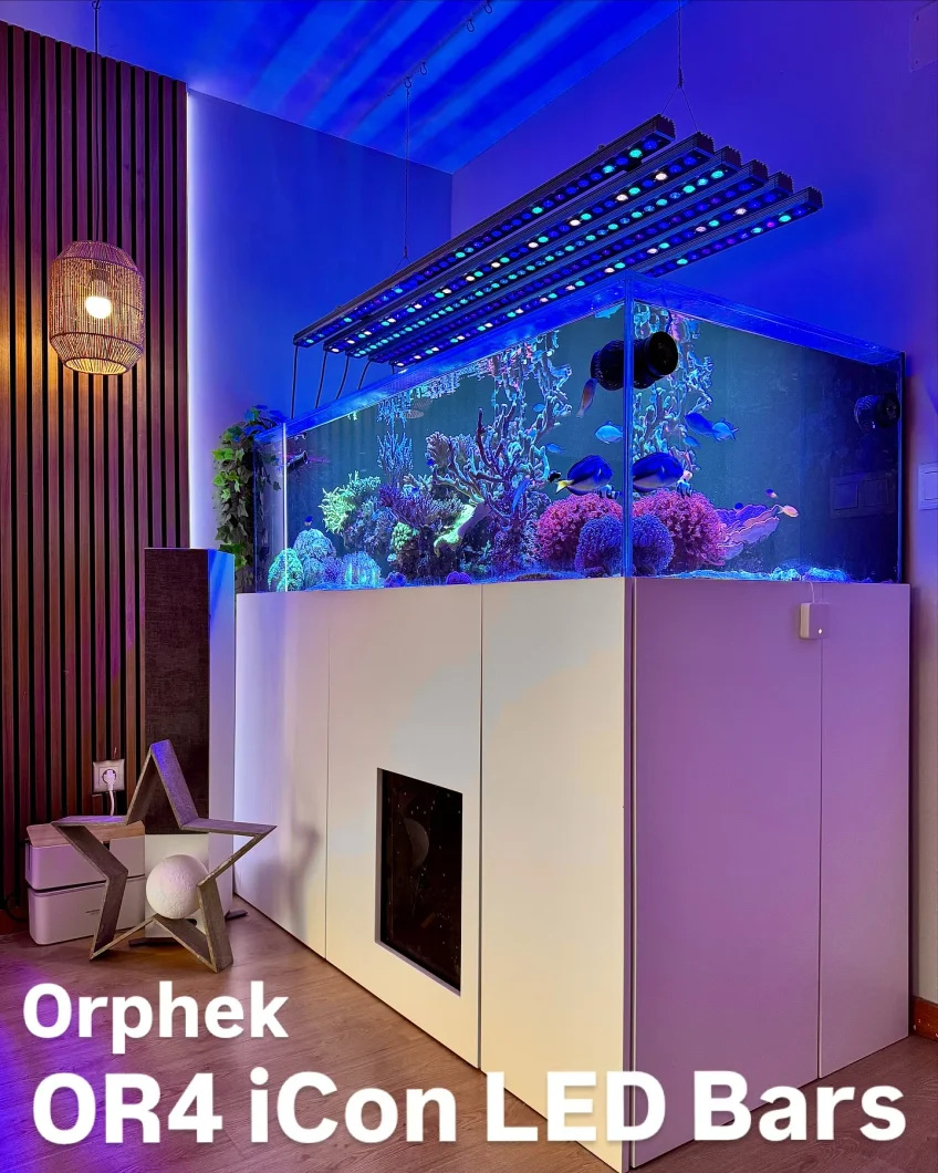 reef_tank_with_Orphek_OR4_led_bars