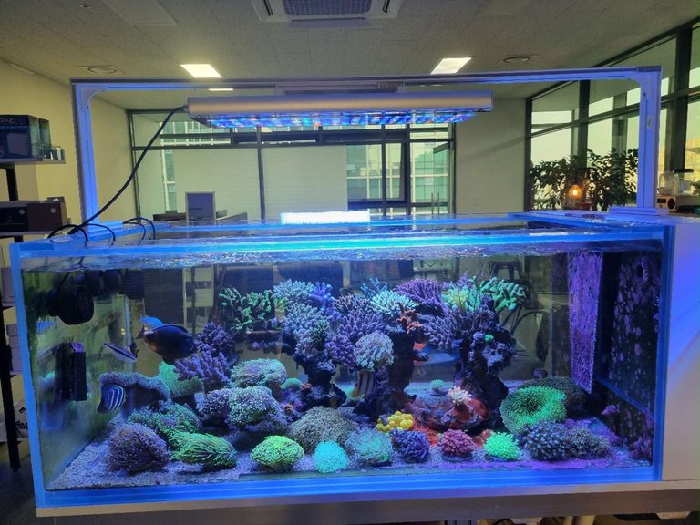 Orphek-Natura-iCon-MAX-mounted-above-a-120-cm-mixed-reef-aquarium